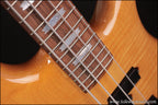 1989 Spector NS-2 Bass