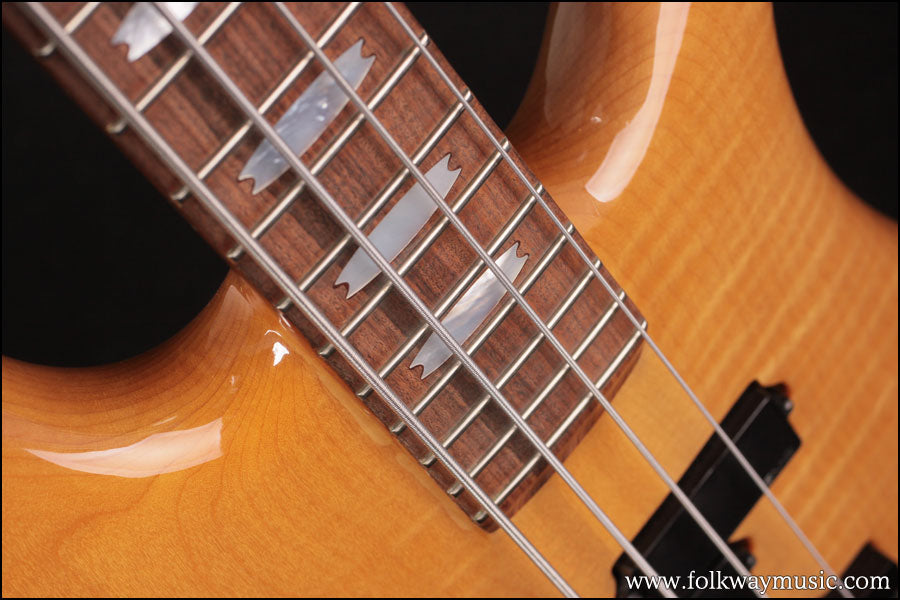 1989 Spector NS-2 Bass