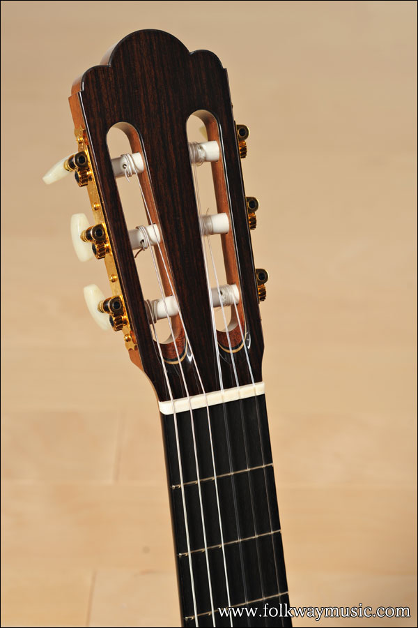 Asturias Standard Spruce