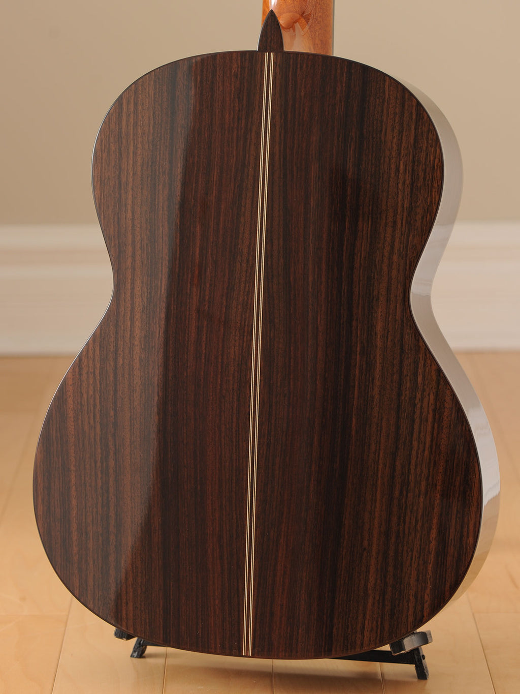 Asturias Standard Spruce