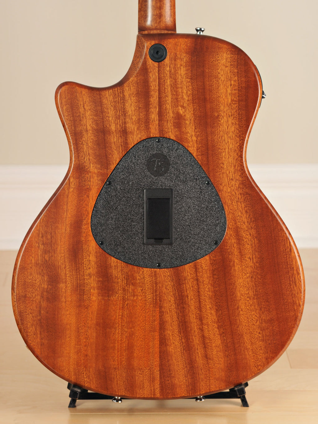 2009 Taylor T5-LTD
