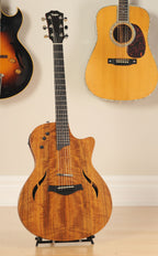2009 Taylor T5-LTD