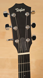 2009 Taylor T5-LTD