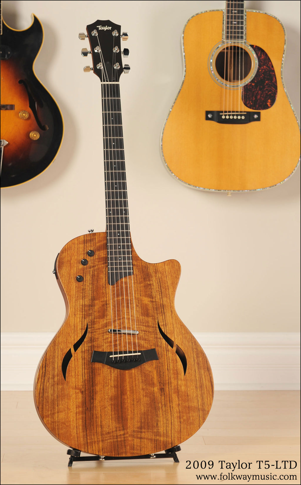 2009 Taylor T5-LTD