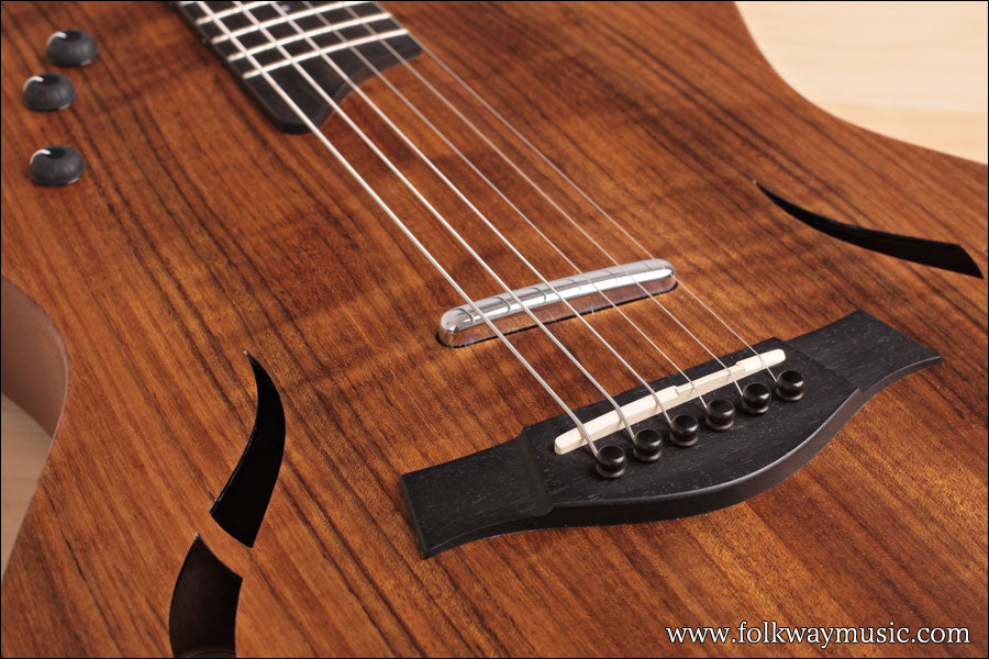 2009 Taylor T5-LTD