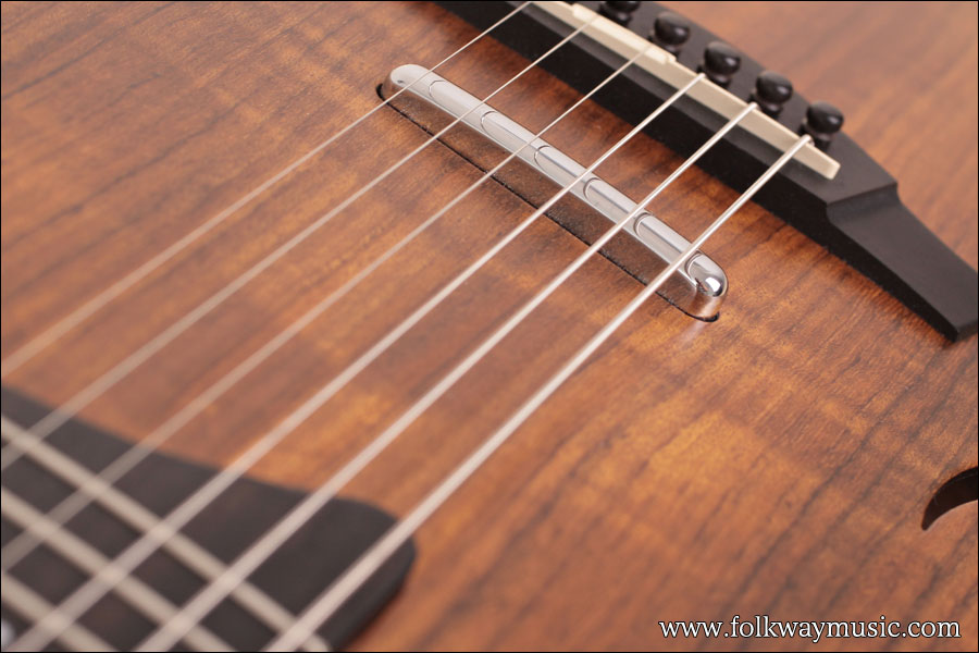 2009 Taylor T5-LTD