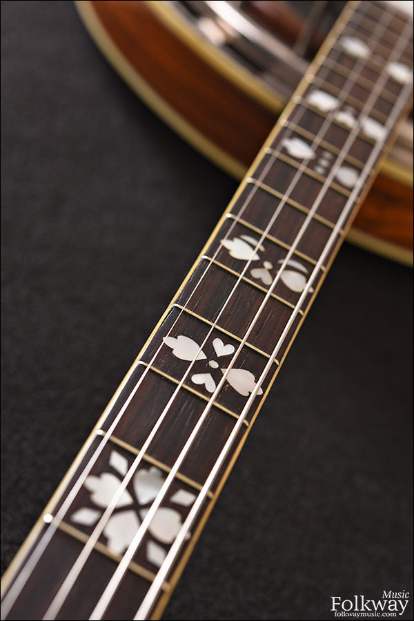 1925 Gibson TB5 / 1970's Tenor Banjo