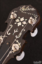 1925 Gibson TB5 / 1970's Tenor Banjo
