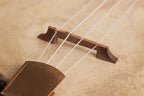 1926 Gibson UB-5