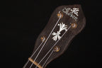 1926 Gibson UB-5