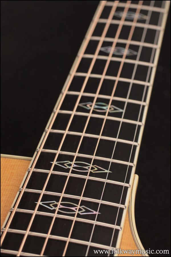 2002 Taylor W-14ce