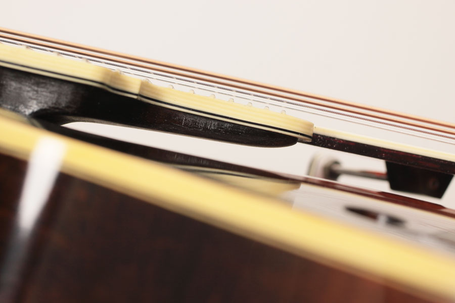 2009 Wiens Loar F5
