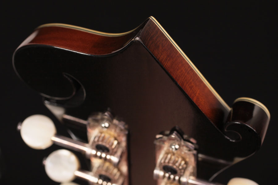 2009 Wiens Loar F5