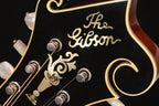 2009 Wiens Loar F5