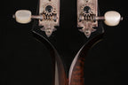 2009 Wiens Loar F5