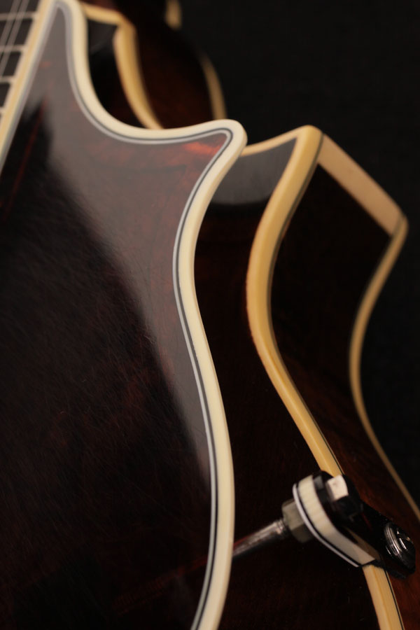 2009 Wiens Loar F5