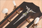 2004 Taylor XXX-BE Brazilian / Englemann