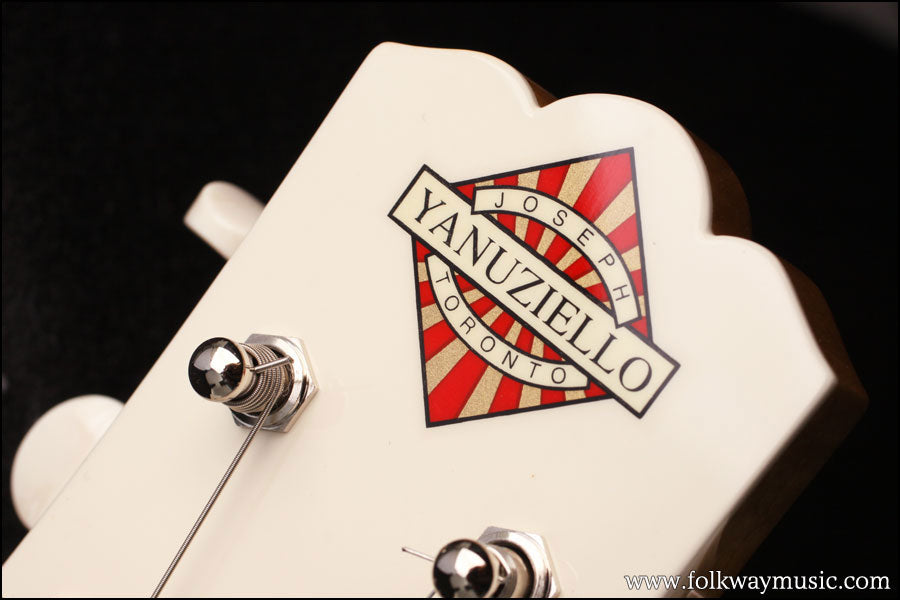 2012 Yanuziello Electric