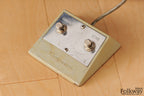 1968 Ampeg Gemini