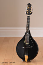 c.2007 Rigel A-Plus Oval