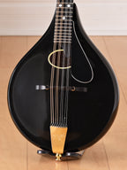 c.2007 Rigel A-Plus Oval