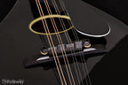 c.2007 Rigel A-Plus Oval