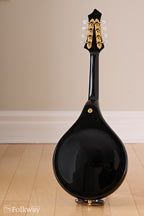 c.2007 Rigel A-Plus Oval