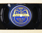 Filmosound Specialist 385 12" Combo