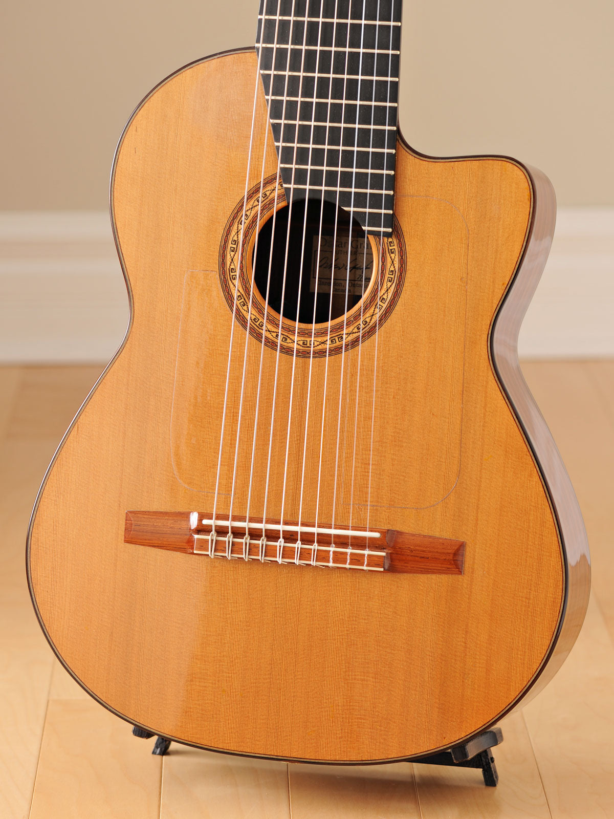 2001 Oskar Graf 10-String Classical