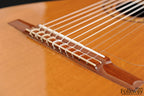 2001 Oskar Graf 10-String Classical