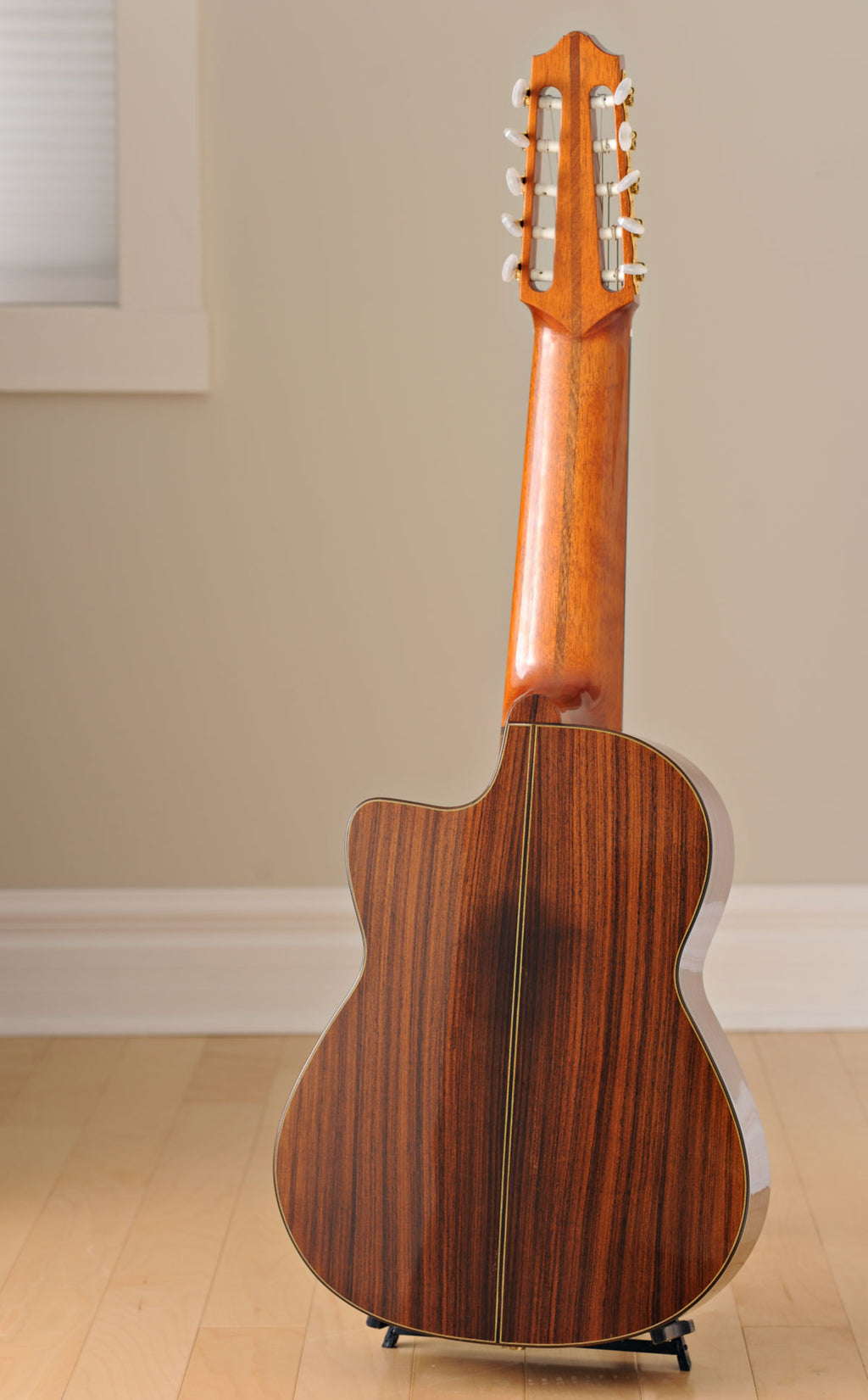 2001 Oskar Graf 10-String Classical