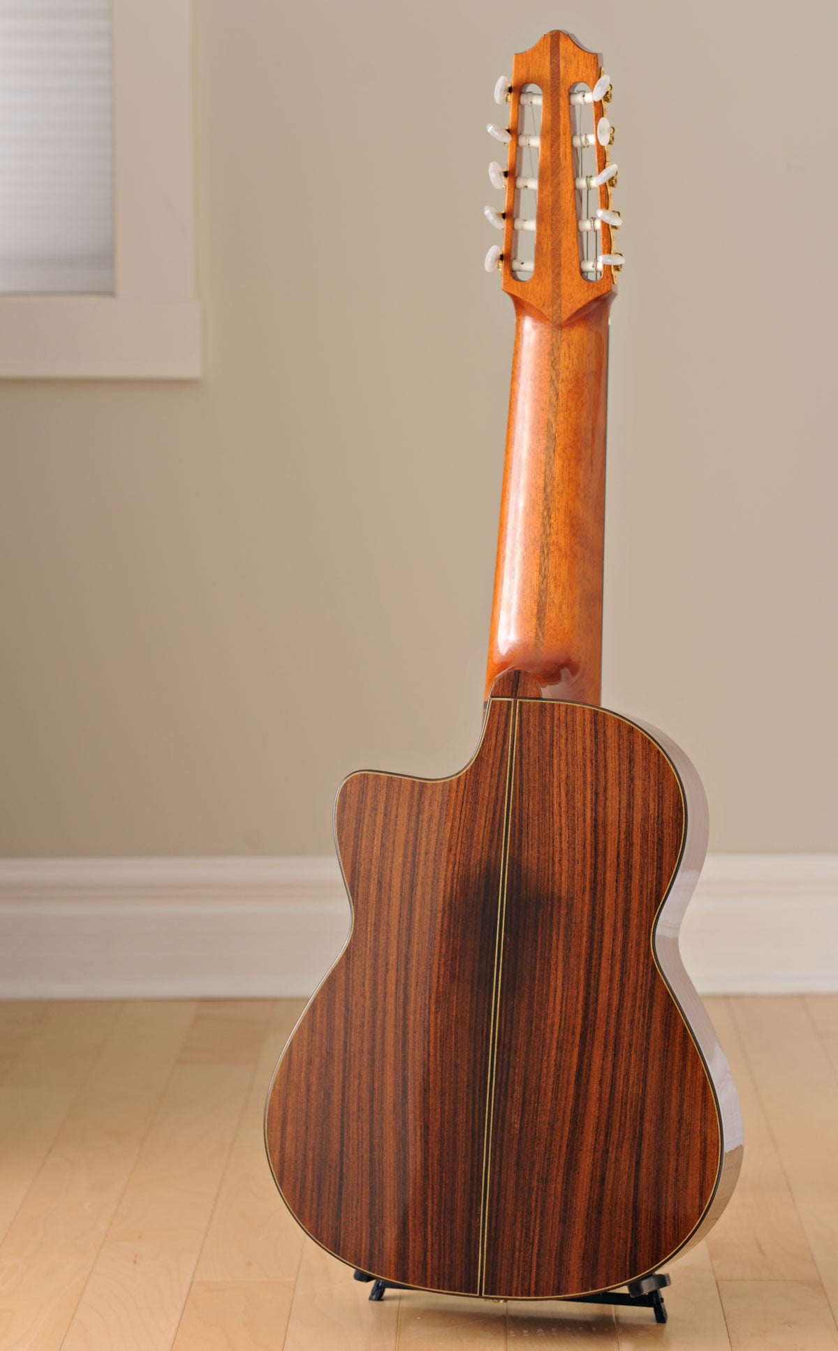 2001 Oskar Graf 10-String Classical