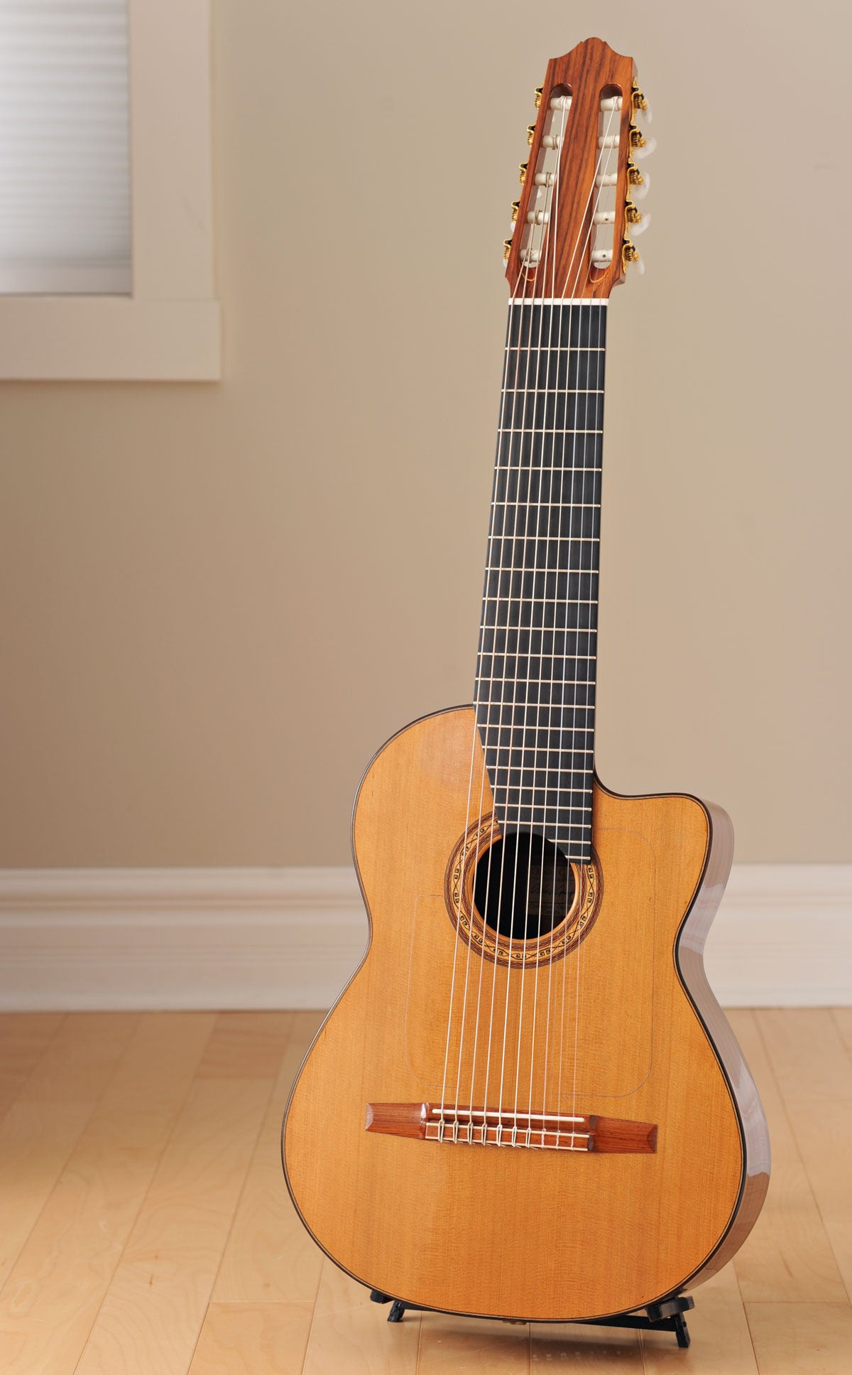 2001 Oskar Graf 10-String Classical