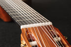 2001 Oskar Graf 10-String Classical