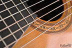 2001 Oskar Graf 10-String Classical