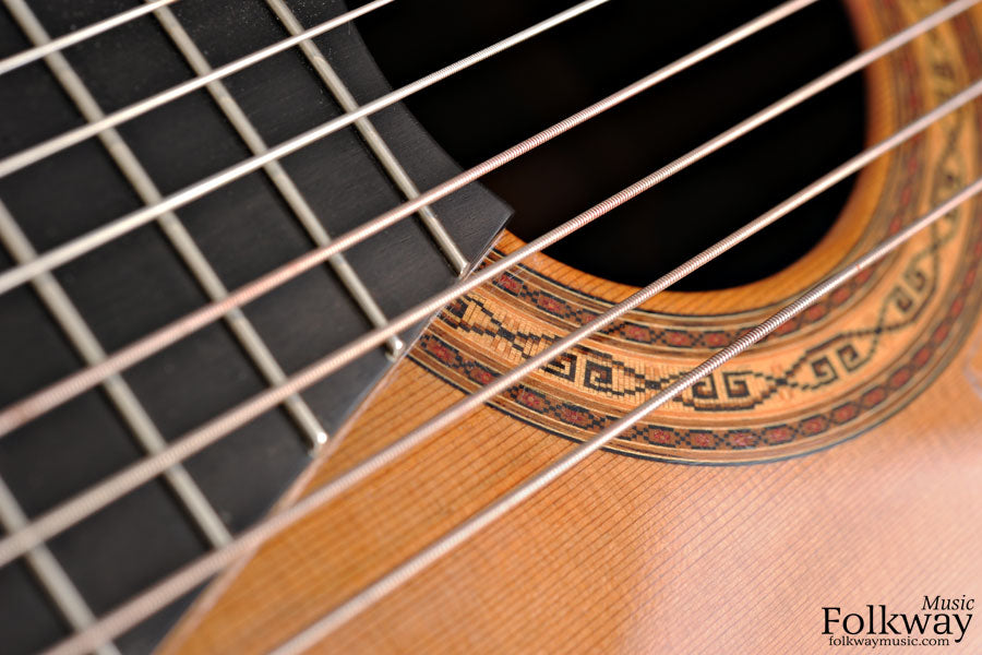 2001 Oskar Graf 10-String Classical