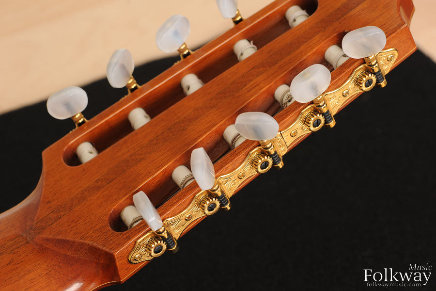 2001 Oskar Graf 10-String Classical