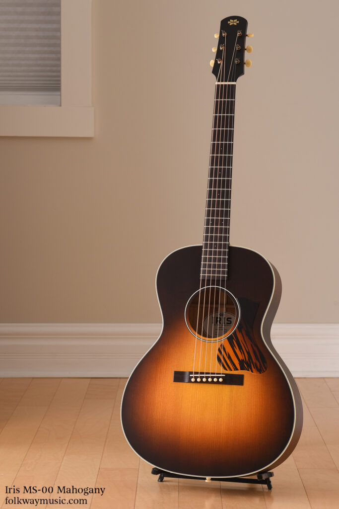 Iris MS-00 acoustic guitar