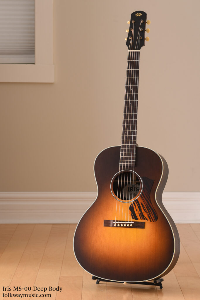 Iris MS-00 Deep Body acoustic guitar with Adirondack red spruce and Indian rosewood.