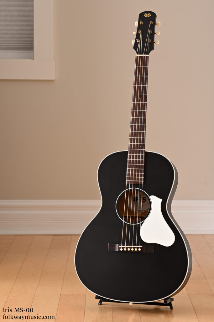 Iris MS-00 Tuxedo new acoustic guitar